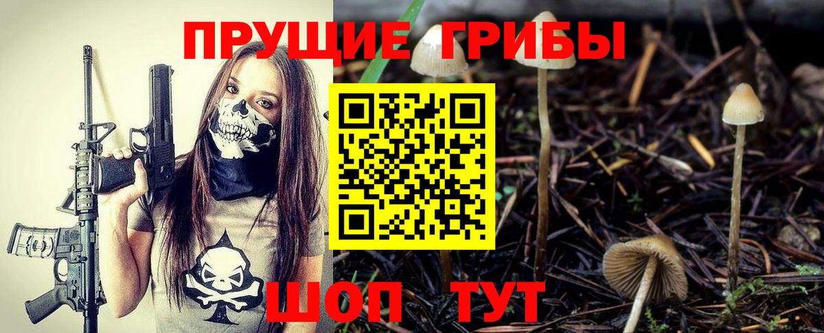 Шадринск  Псилоцибиновые грибы мицелий  Вход с VPN 