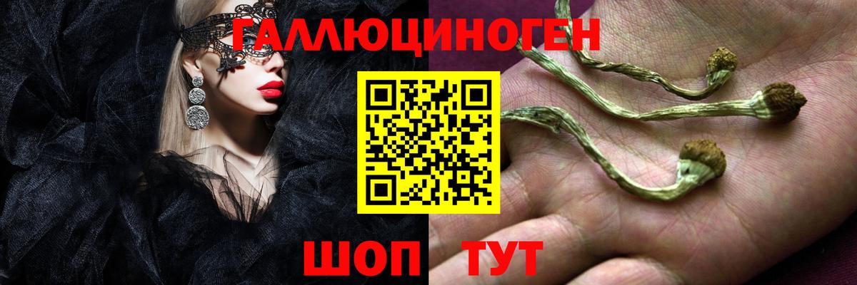 Галлюциногенные грибы прущие грибы Шадринск